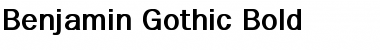 Download FranklinGothic Bold Font Title Preview
