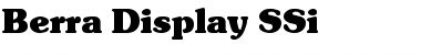 Download Berra Display SSi Regular Font Title Preview
