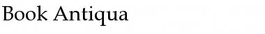 Download Book Antiqua Regular Font Title Preview