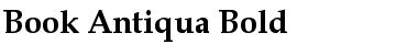 Download Book Antiqua Bold Font Title Preview