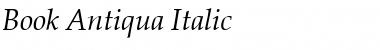 Download Book Antiqua Italic Font Title Preview