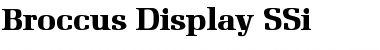 Download Broccus Display SSi Regular Font Title Preview