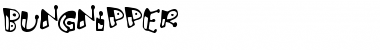 Download Bungnipper Regular Font Title Preview