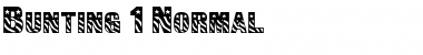 Download Bunting 1 Normal Font Title Preview