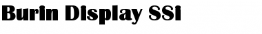 Download Burin Display SSi Regular Font Title Preview