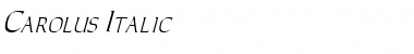 Download Carolus Italic Font Title Preview