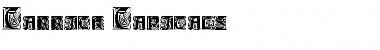 Download Carrick Capitals Normal Font Title Preview