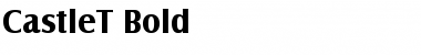 Download CastleT Bold Font Title Preview