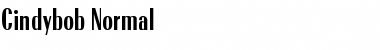 Download Cindybob Normal Font Title Preview
