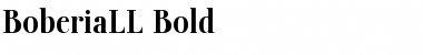 Download BoberiaLL Bold Font Title Preview