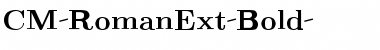 Download CM_RomanExt Bold Font Title Preview
