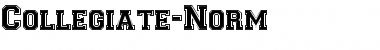 Download Collegiate-Norm Regular Font Title Preview
