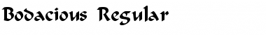 Download Bodacious Regular Font Title Preview