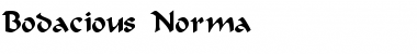 Download Bodacious-Norma Regular Font Title Preview