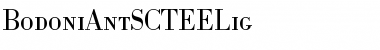 Download BodoniAntSCTEELig Regular Font Title Preview