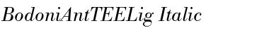 Download BodoniAntTEELig Italic Font Title Preview
