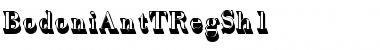 Download BodoniAntTRegSh1 Regular Font Title Preview