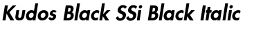 Download Kudos Black SSi Black Italic Font Title Preview