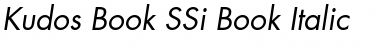 Download Kudos Book SSi Book Italic Font Title Preview